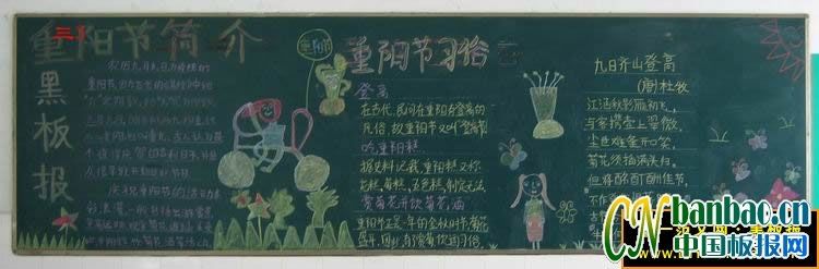 �����ںڰ屨