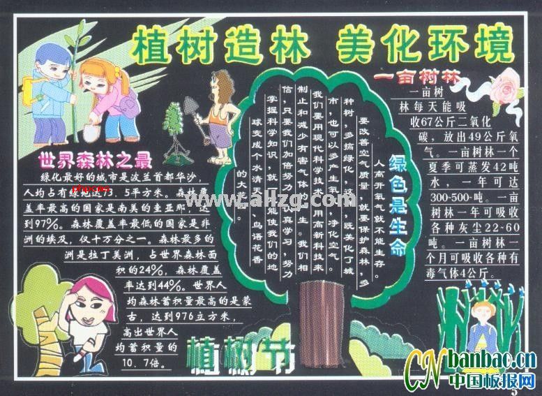ֲ���ںڰ屨��ֲ������ ��������
