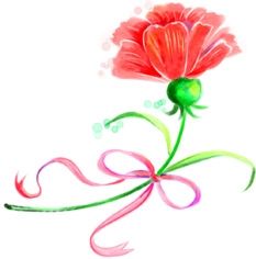 ĸ�׽ڿ���ܰ��ʻ���ȫ
